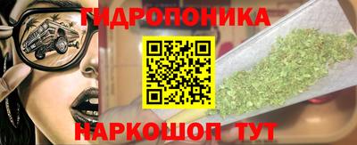 ешки Дубна